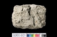 泥岩藏品圖，第3張